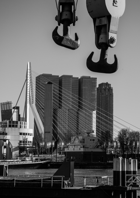 Hoogbouw en de Haven