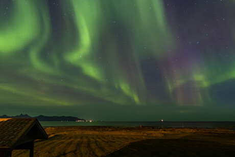 Noorderlicht @lofoten Noorwegen 