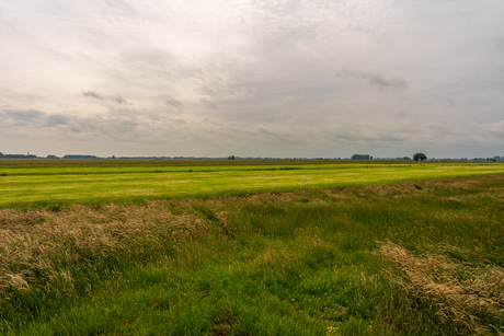 Landschap Oudeland