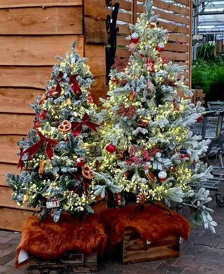 Fijne kerst en Gezond 2026.