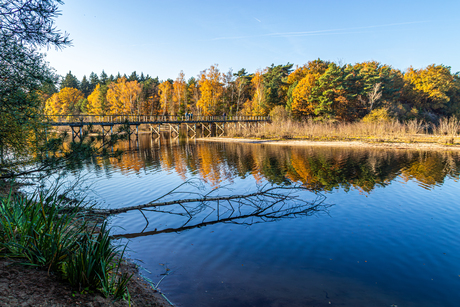 Houten bruggetje van het Reindersmeer