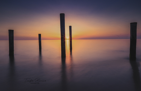 Zonsondergang Palen van Petten