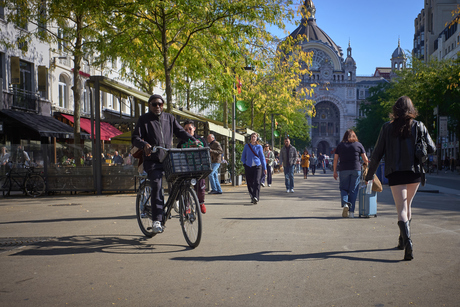 Fietser, Antwerpen