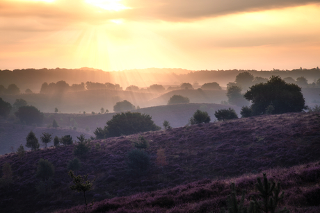 Posbank at Sunrise