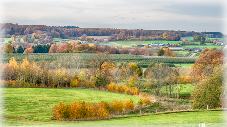 Herfst in Zuid-Limburg