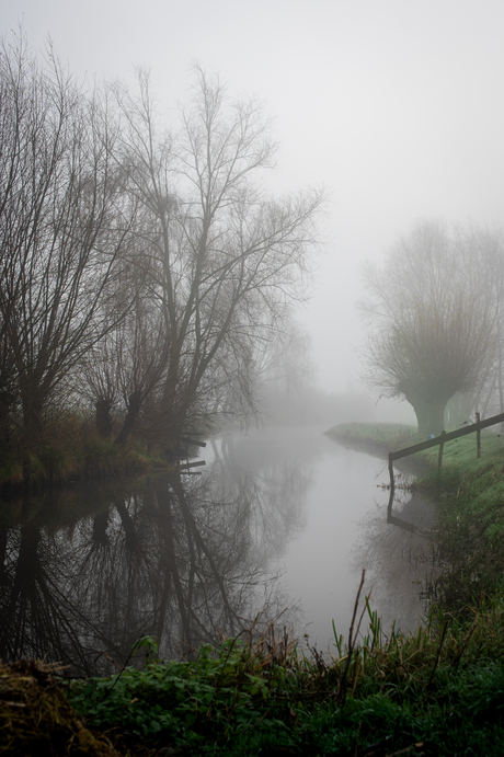 ochtend mist 