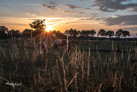 Zonsondergang 