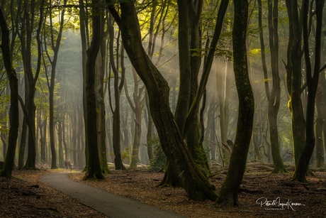 Het eerste zonlicht....