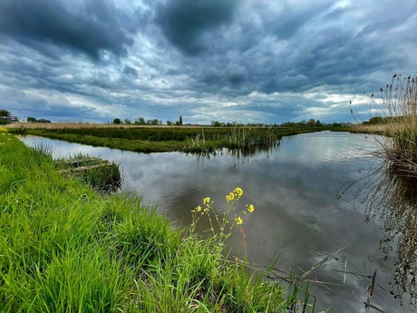 Polder in Noord-Holland 