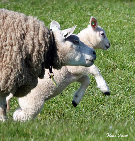 "Kijk mam, hoe stoer..."