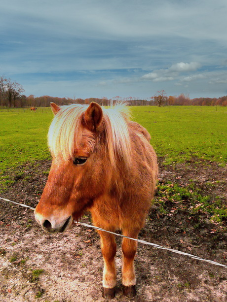 Uit het archief 2010