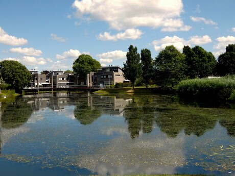 Landschap