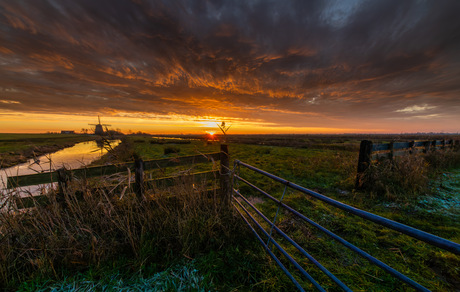 Vuur in de polder