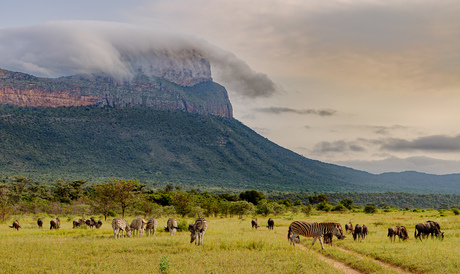 Waterberg