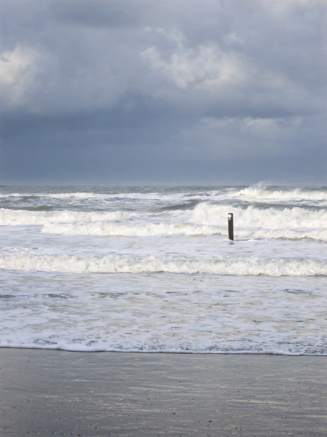 Branding - Vlieland 2004