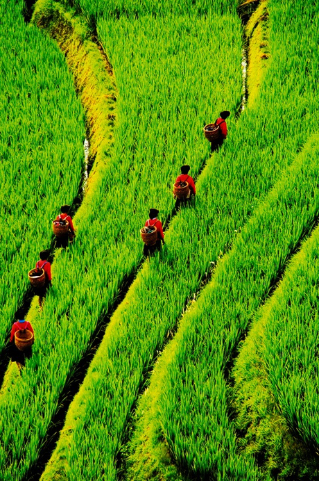 Red and green
