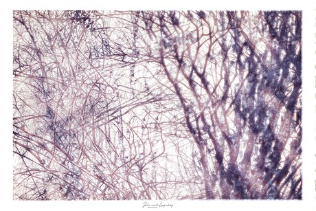 Grafisch (experiment)