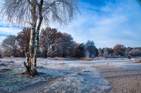 Winter