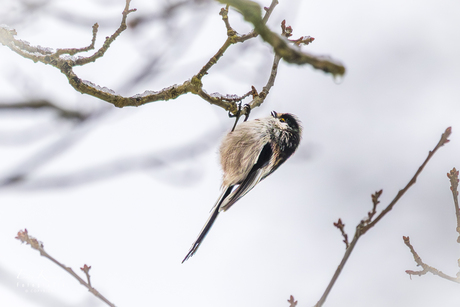 Onderste boven van jou... 