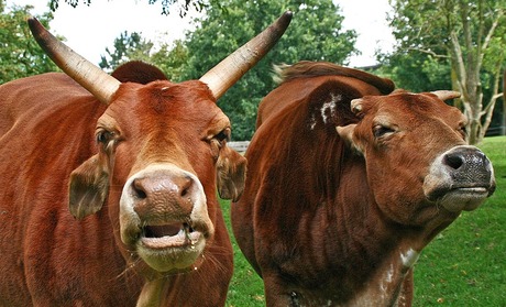 Ik laat.............................