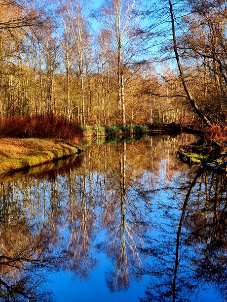 Reflectie 