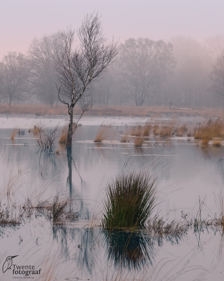 Het Wierdense Veld