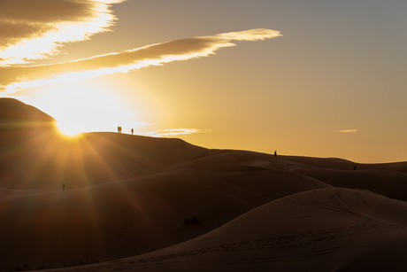 Gevangen in het licht. 