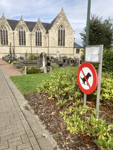 geen hondentoilet