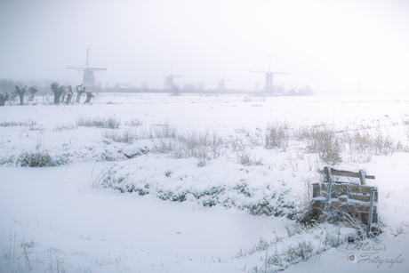 Winter Wonderlan Kinderdijk