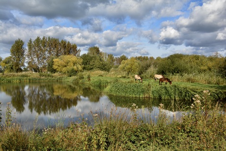 Herfst 