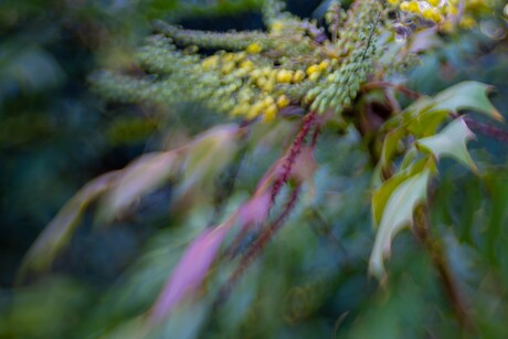 Lensbaby 2