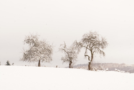 winterlandschap Duitsland