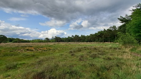 Mooi open veld