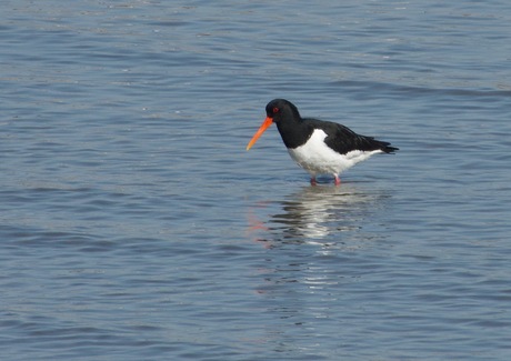 Waar moet ik beginnen