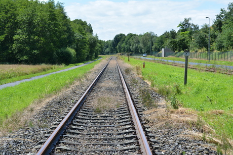 volg het spoor