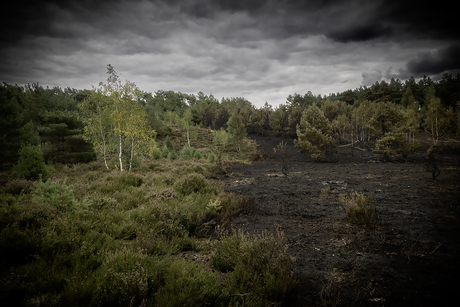 Brand op de Brunssummerheide