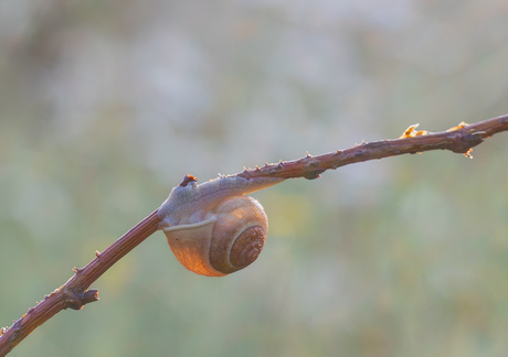 Just hanging around...