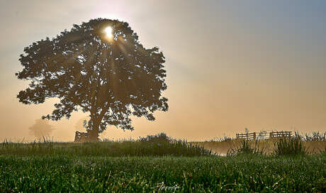 One misty Morning