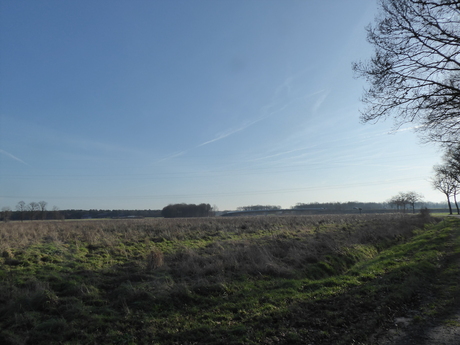 Landschap 3
