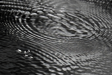Schaatsenrijder in de regen