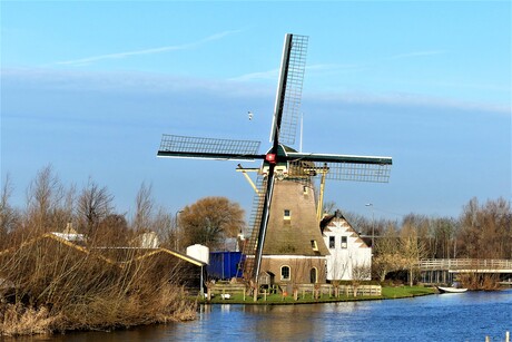 P1160630  Schipluiden Molen Korpershoek  uit 1772  herbouwd 1950  foto 11 jan 2022 