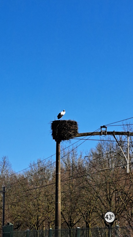 Weer trouw op z'n post boven het spoor
