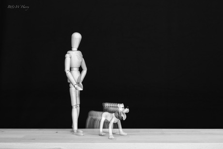 Walking the dog 🐶