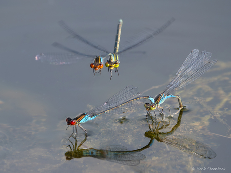 Wij willen ook een plekje