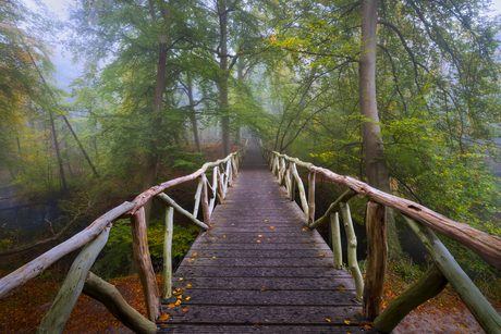 Loopbrug in park