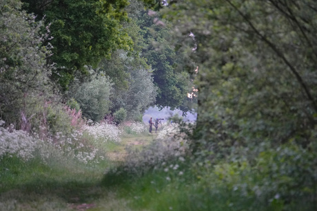Een mooie lenteochtend