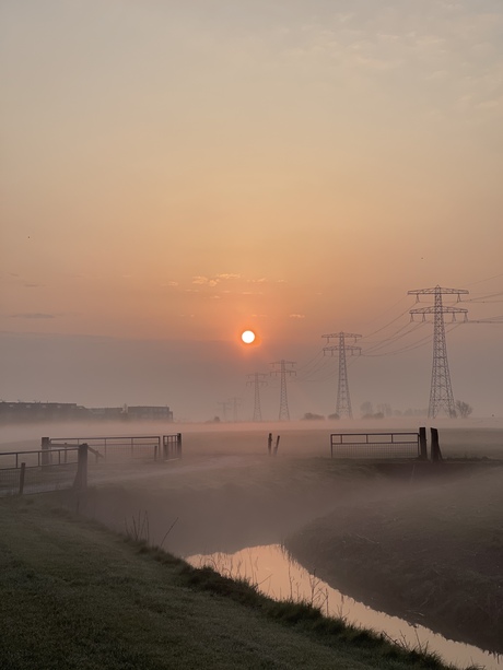 Prachtige ochtend