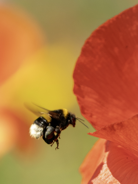 Het ritme van de natuur