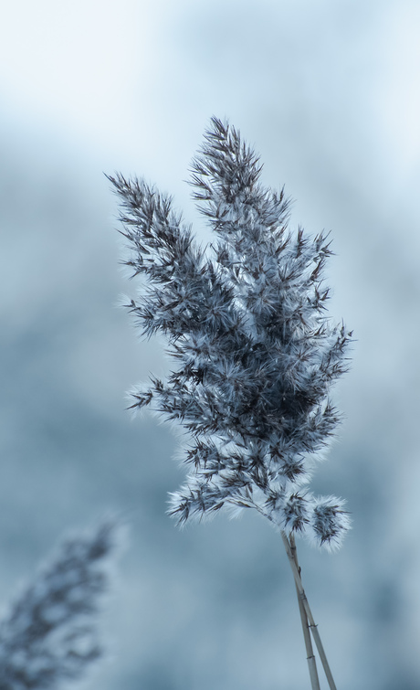 Speciaal voor Naturelover