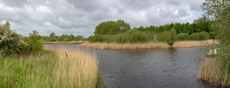 Kromslootpark  Almere